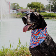 Tie Dye Bandana
