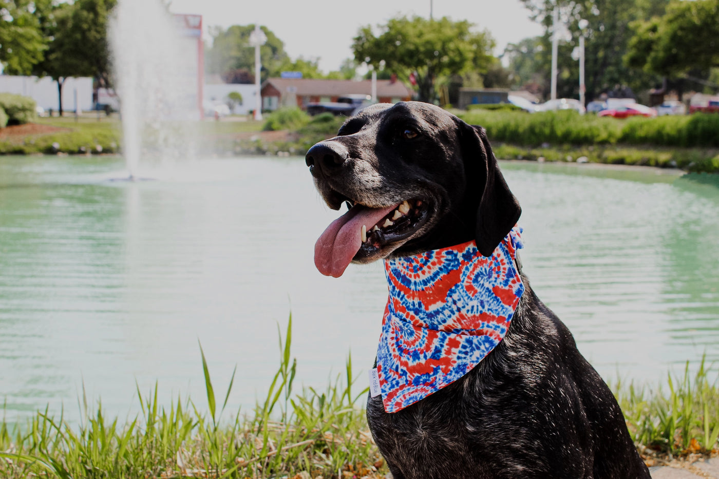Tie Dye Bandana