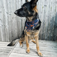 Tigers Bandana