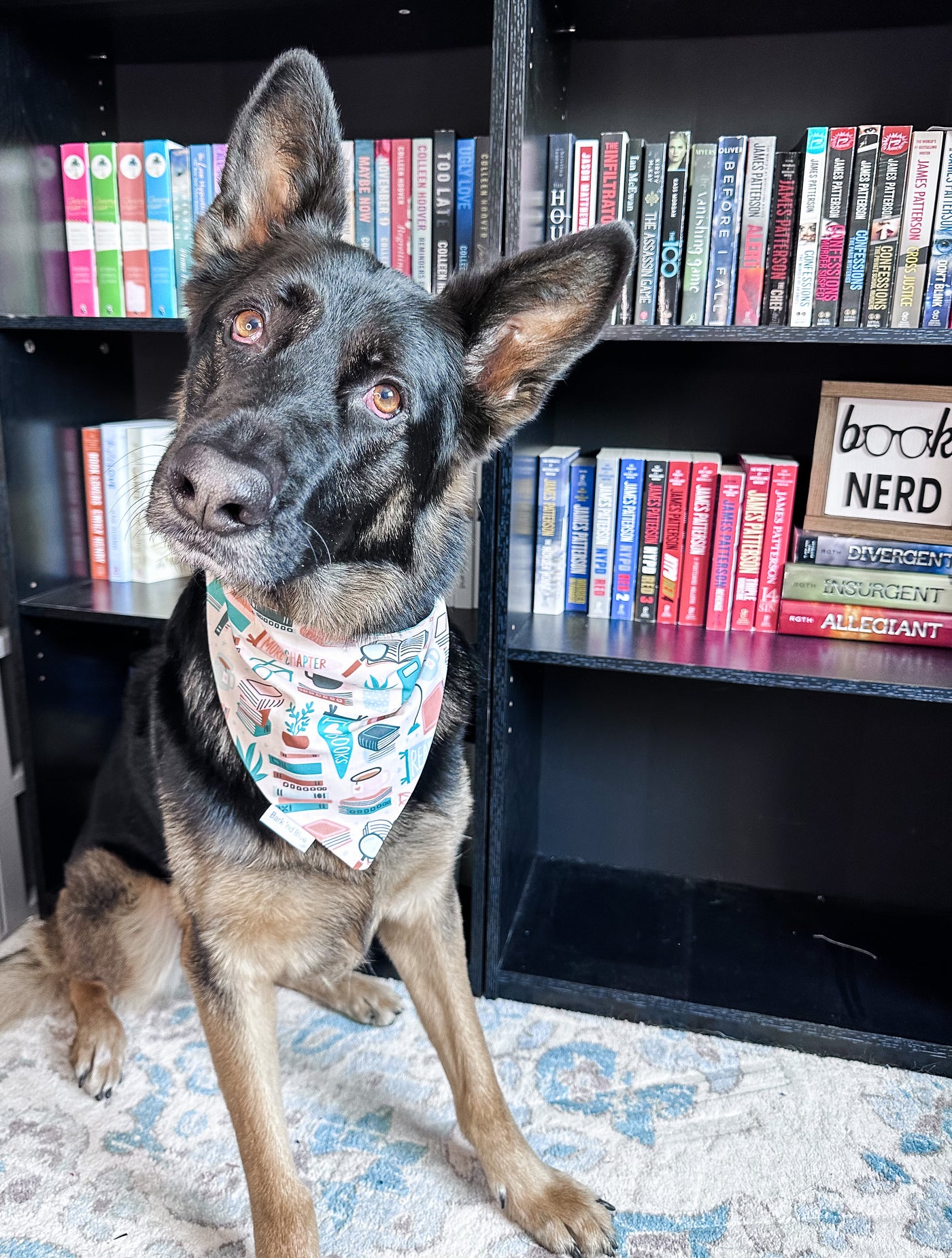 Book Nerd Bandana