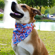 Tie Dye Bandana