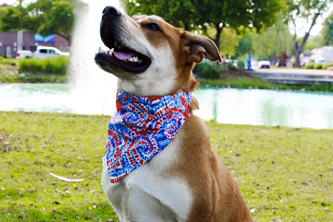 Tie Dye Bandana