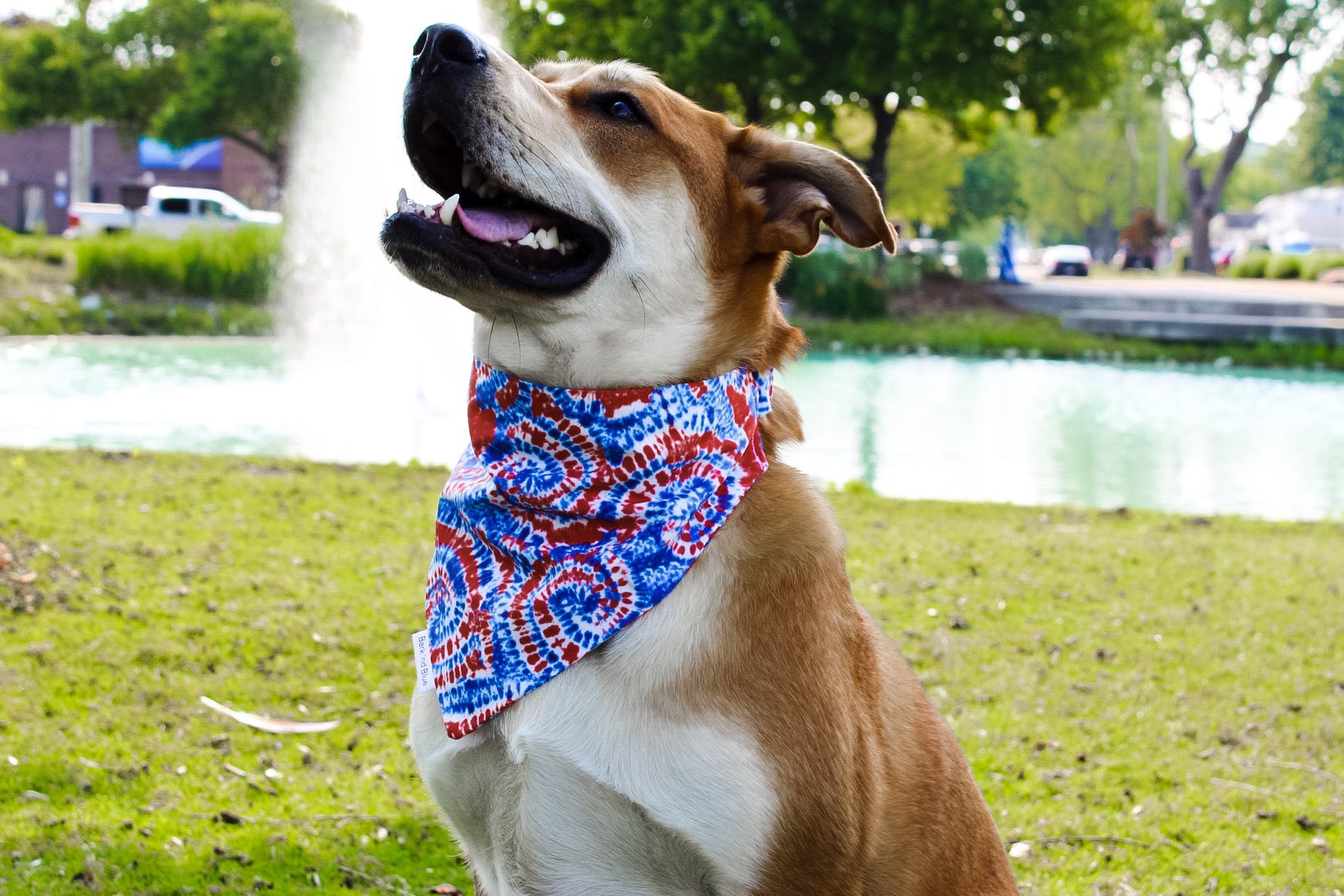 Tie Dye Bandana