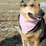 Sunflower Bandana