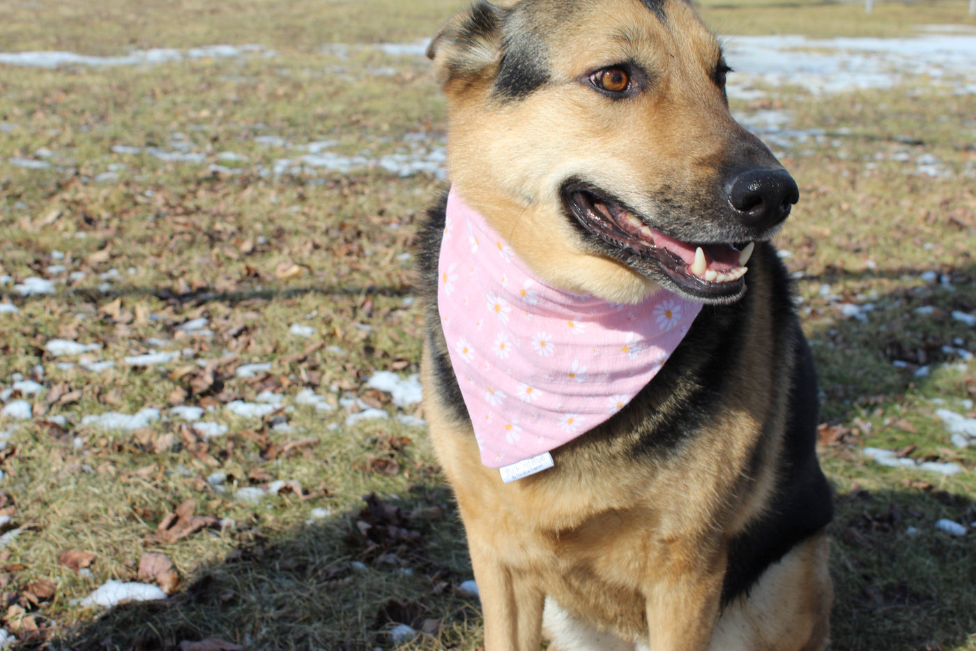 Sunflower Bandana
