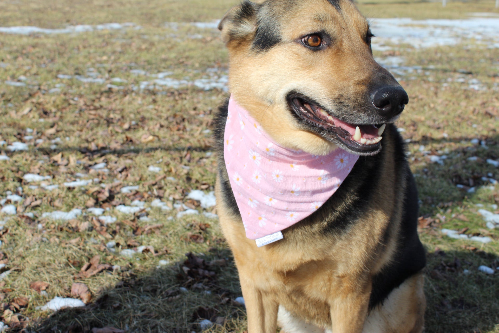 Sunflower Bandana