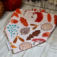 Apple Crisp Bandana
