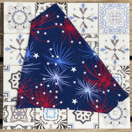 Fireworks in July Bandana
