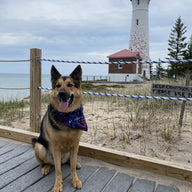 Fireworks in July Bandana