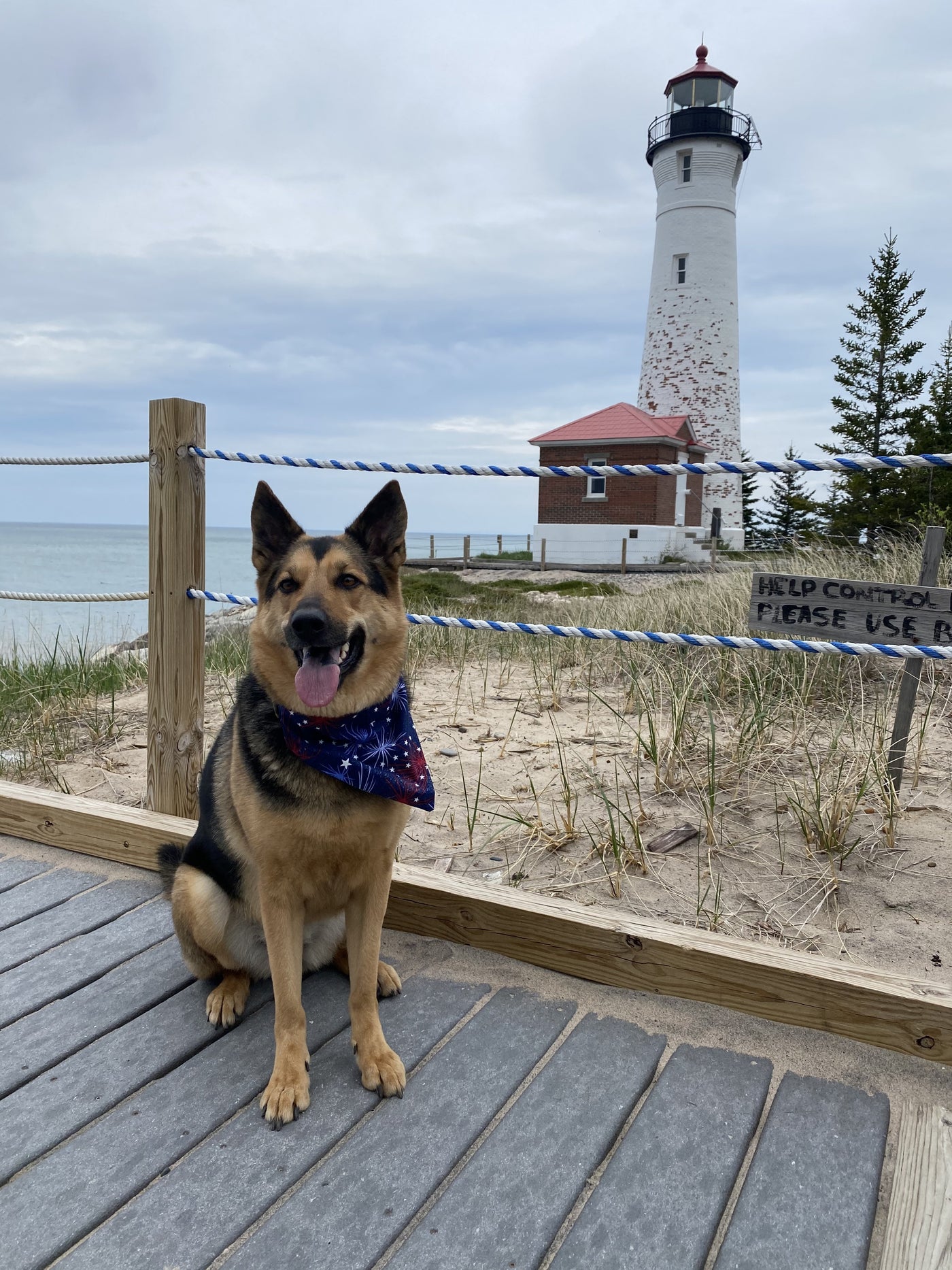 Fireworks in July Bandana
