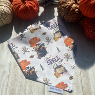 Hocus Pocus Bandana