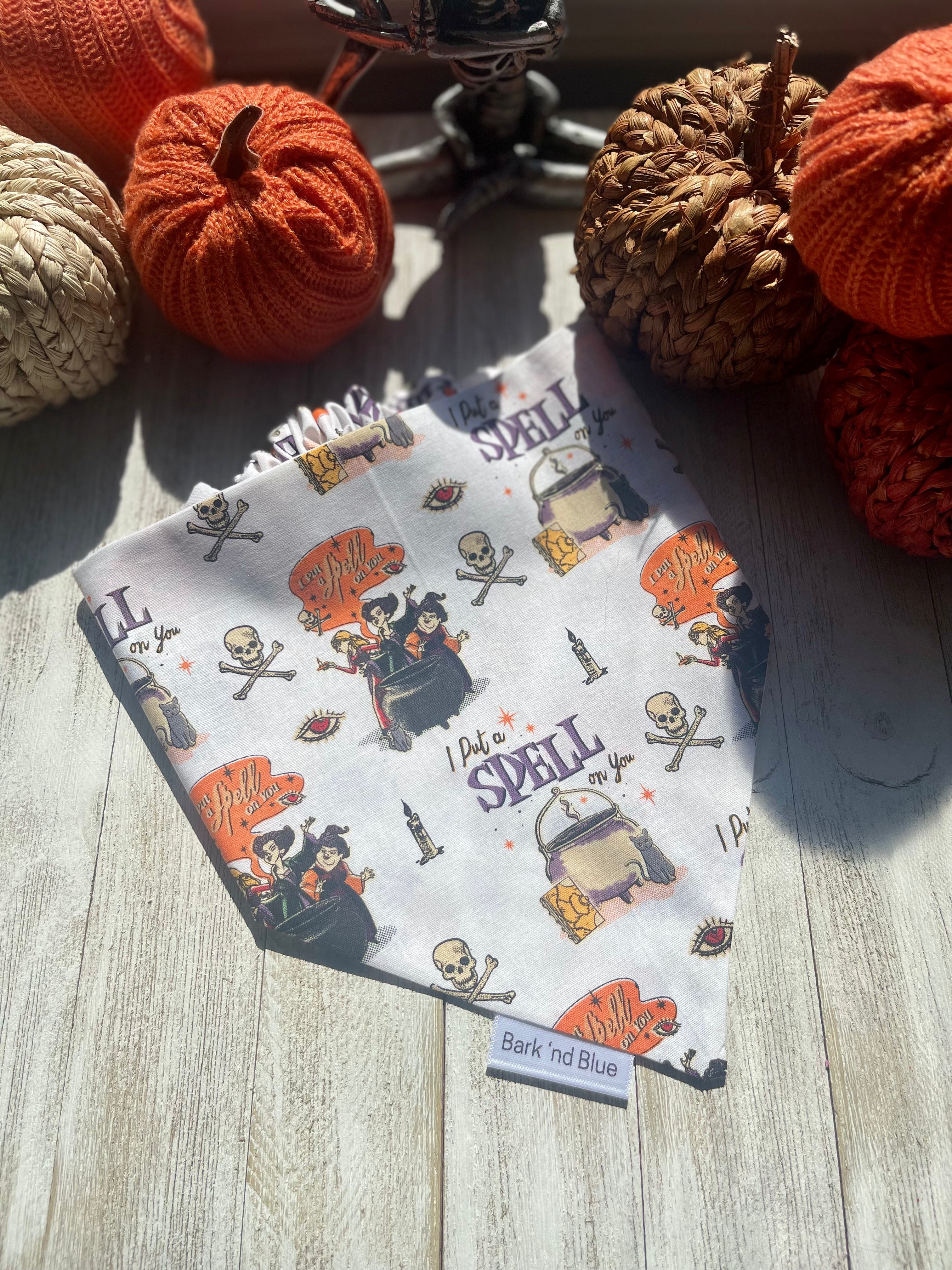 Hocus Pocus Bandana