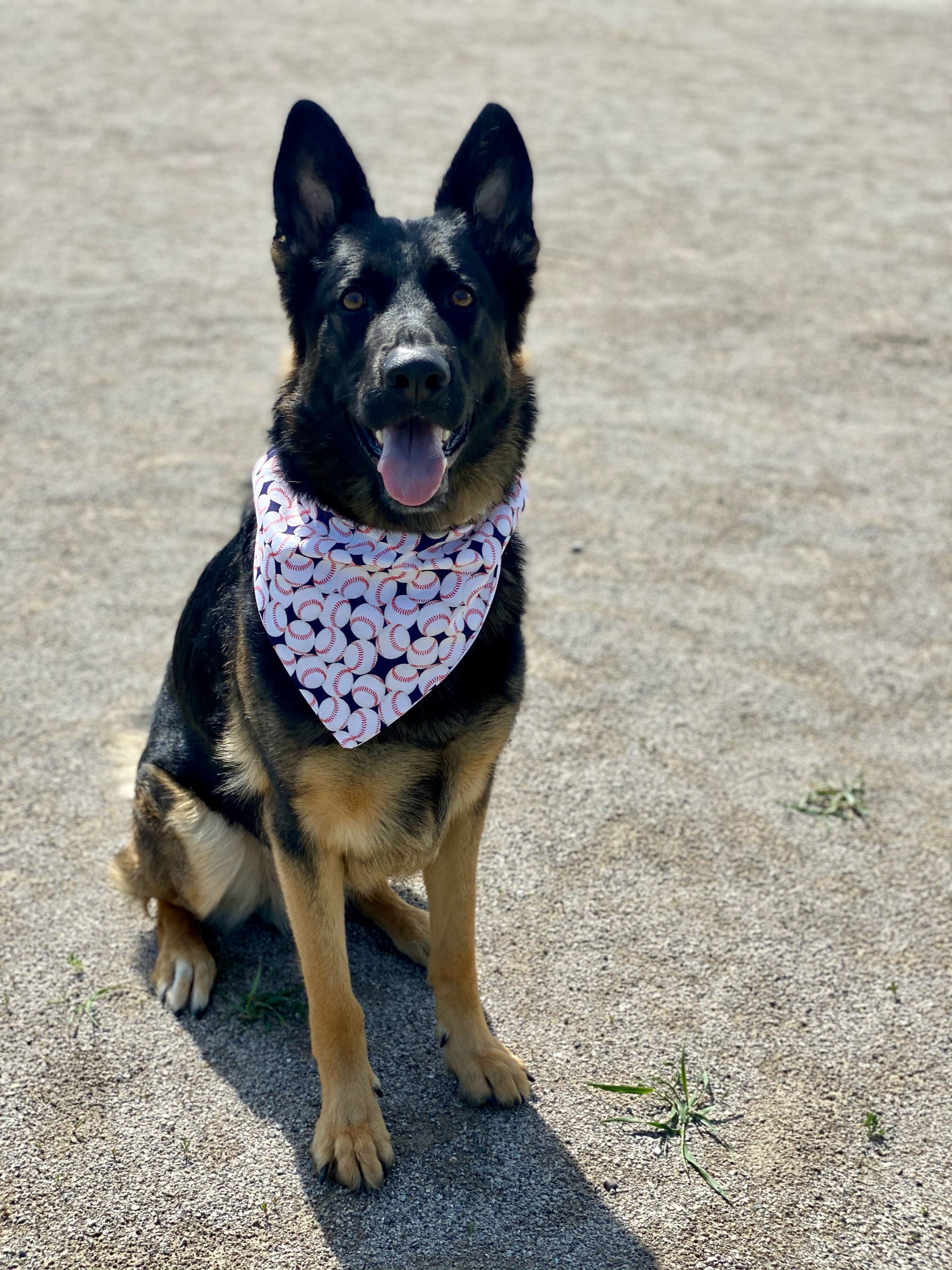 Baseball Bandana