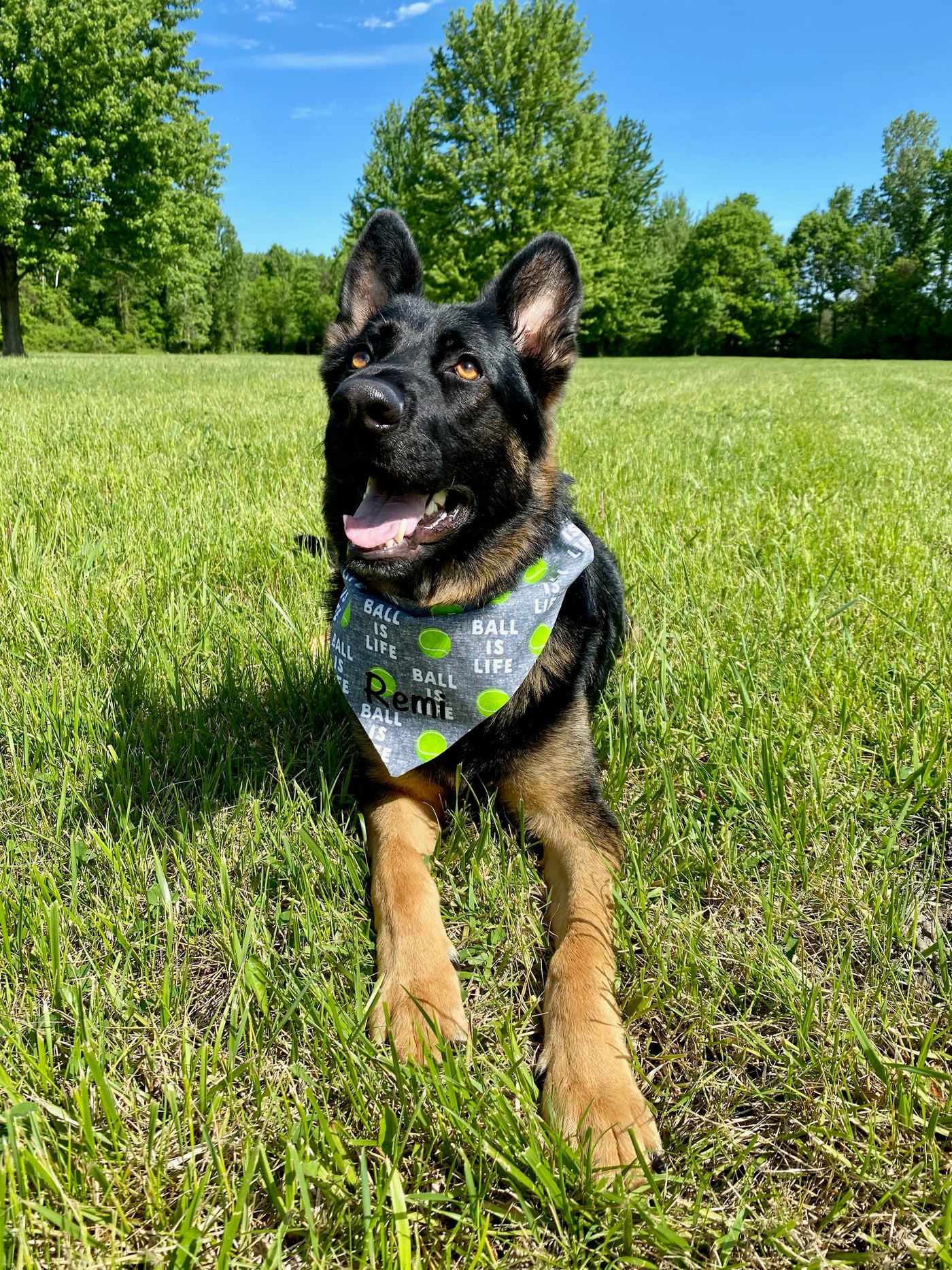 Ball is Life Bandana