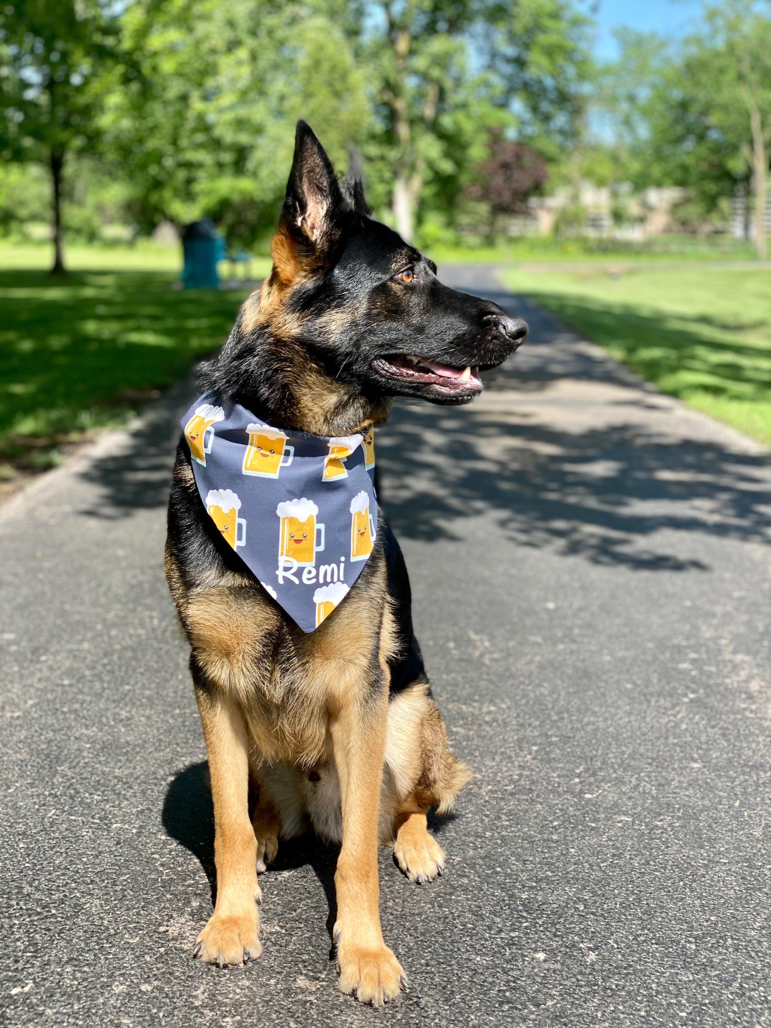 Mini Beers Bandana