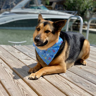 Ahoy Bandana