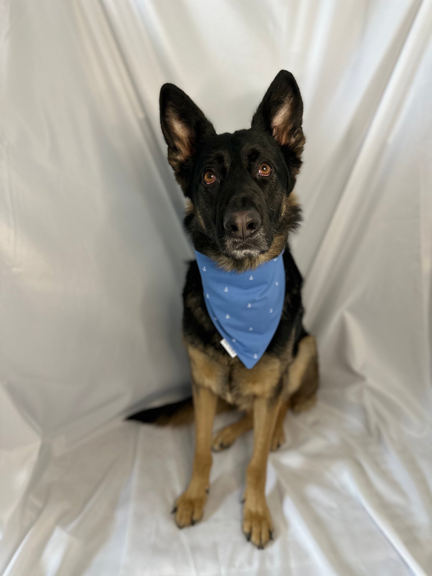 Sail into Spring Bandana