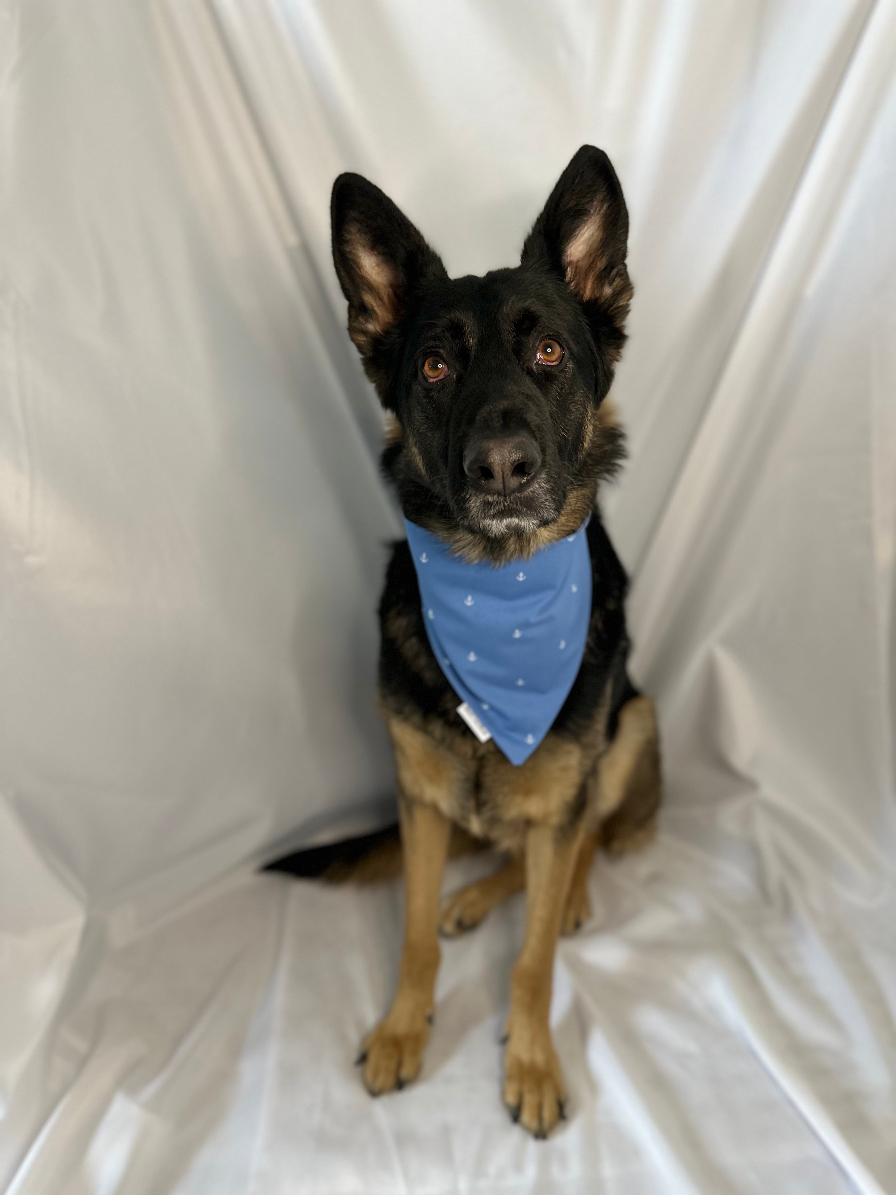 Sail into Spring Bandana