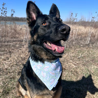 Michigan Bandana