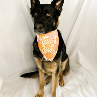 Flower Power Bandana