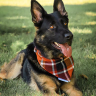 Sweater Weather Bandana