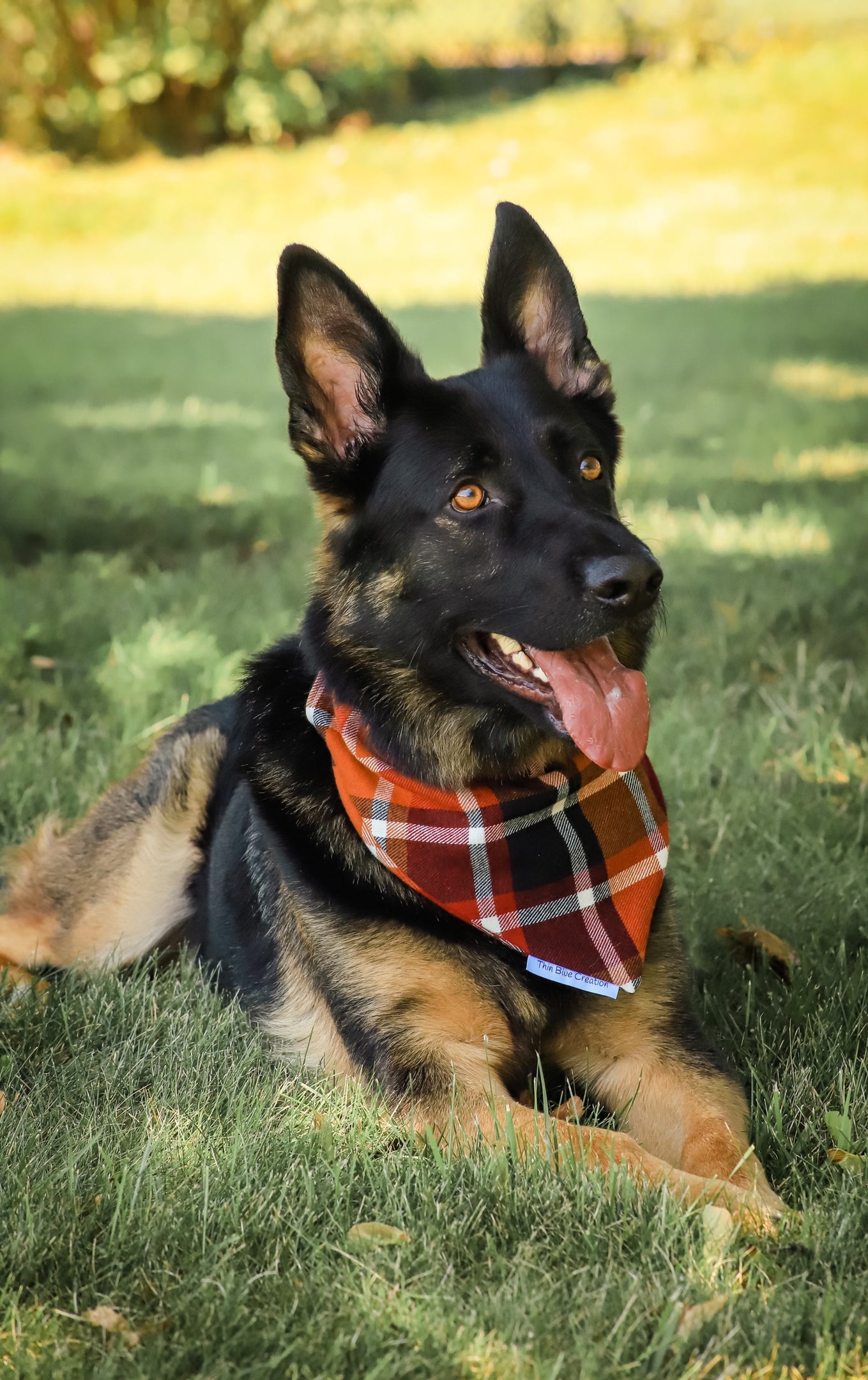 Sweater Weather Bandana