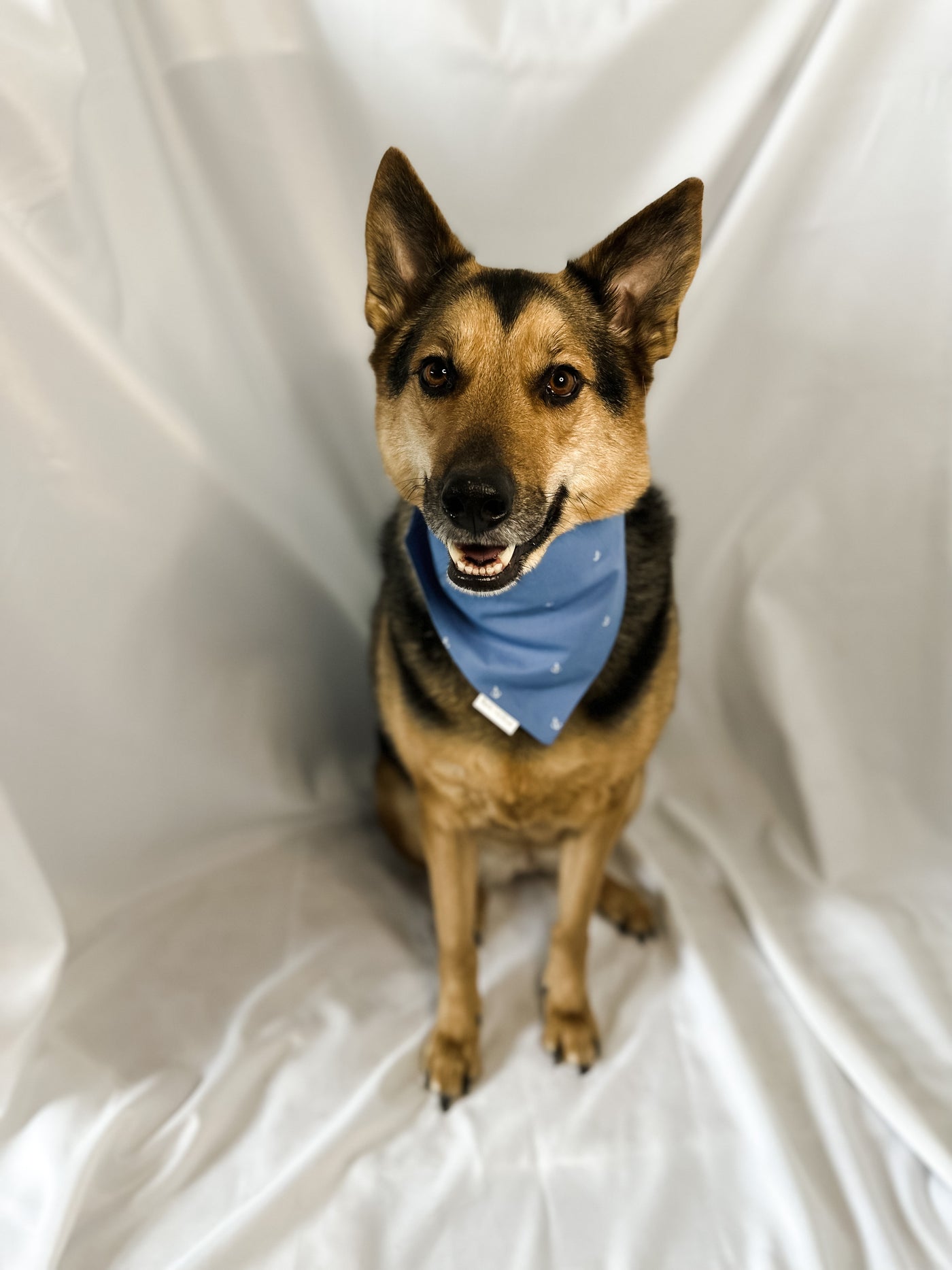 Sail into Spring Bandana