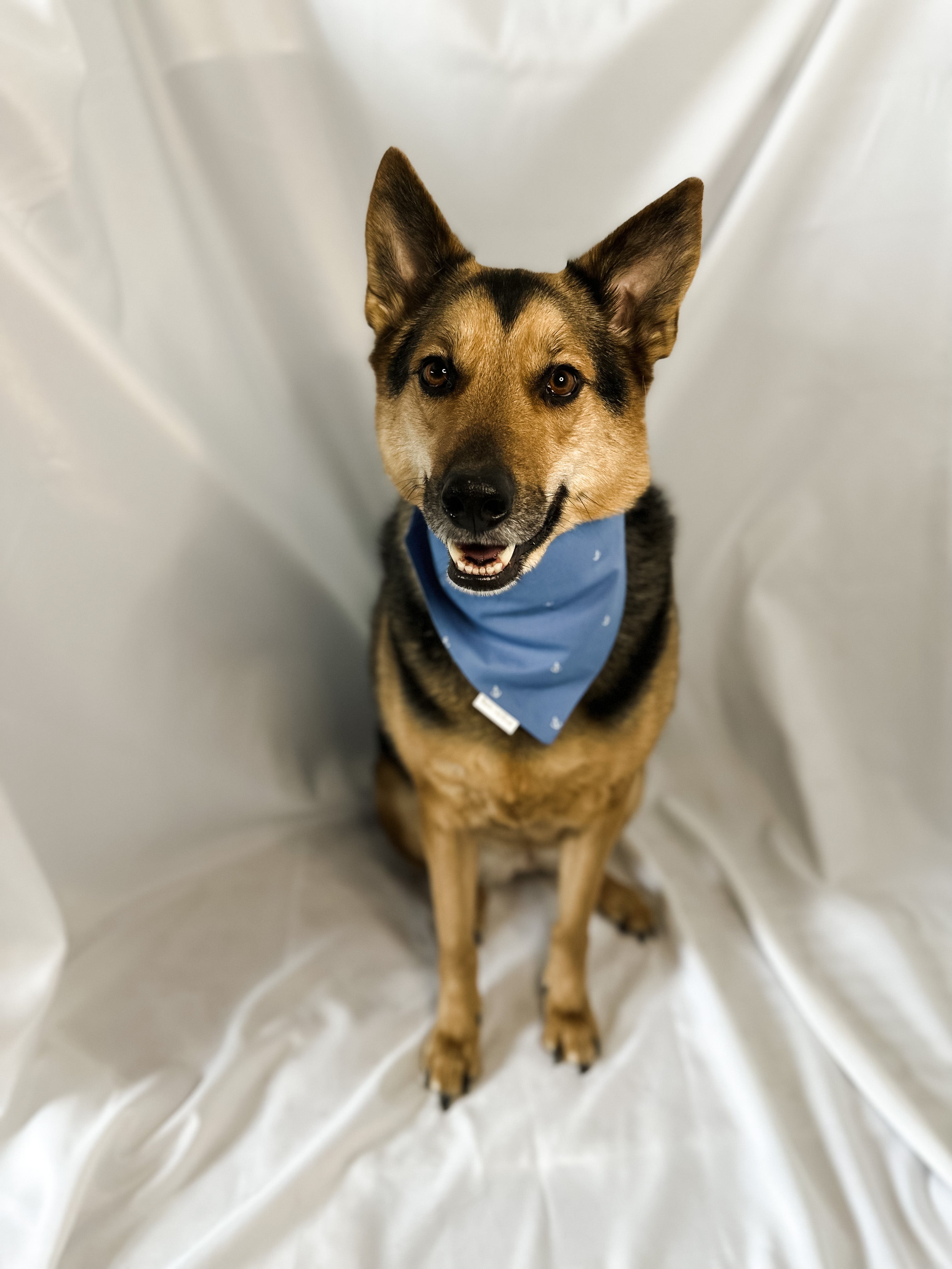Sail into Spring Bandana