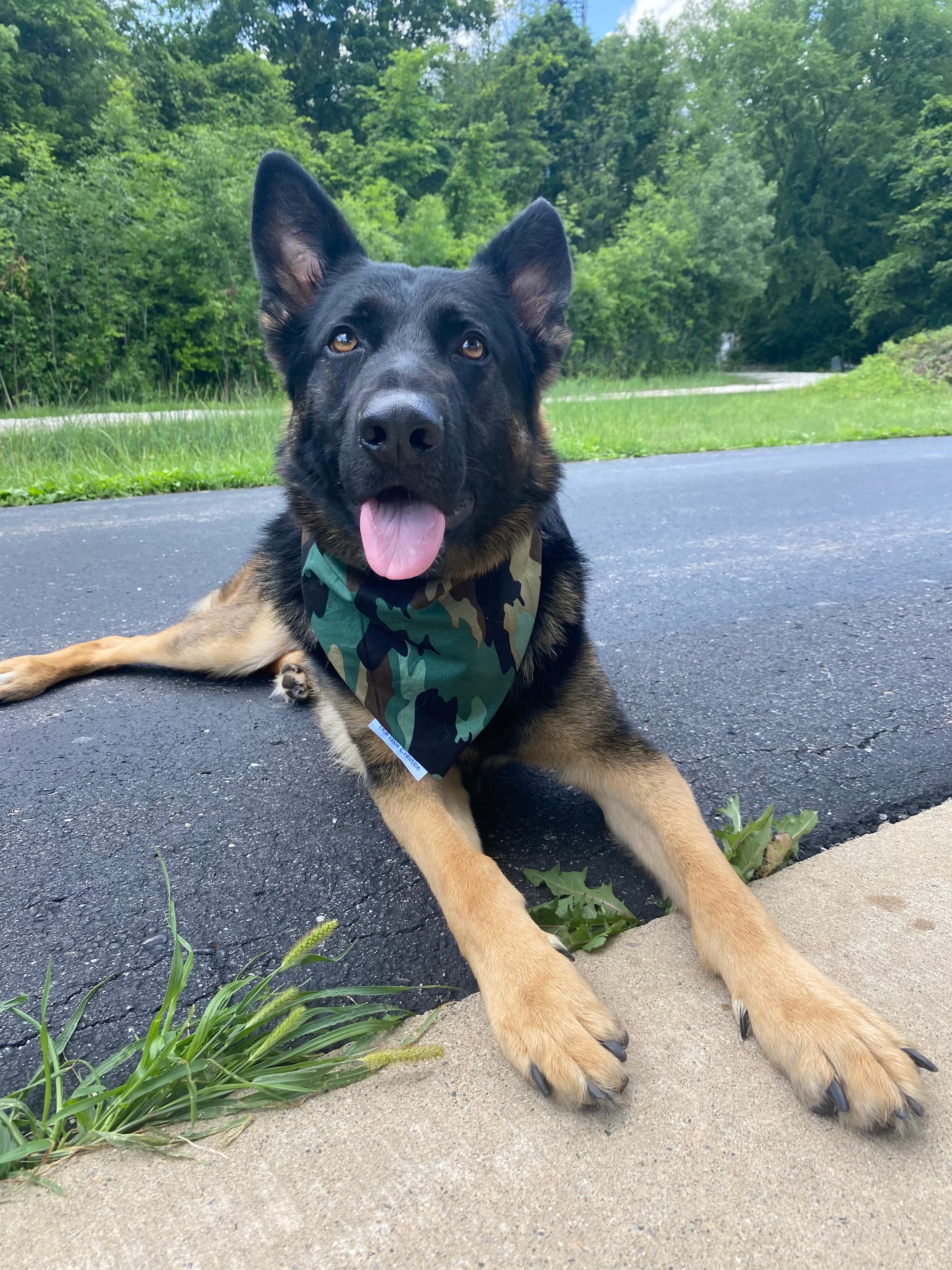 Camo Bandana