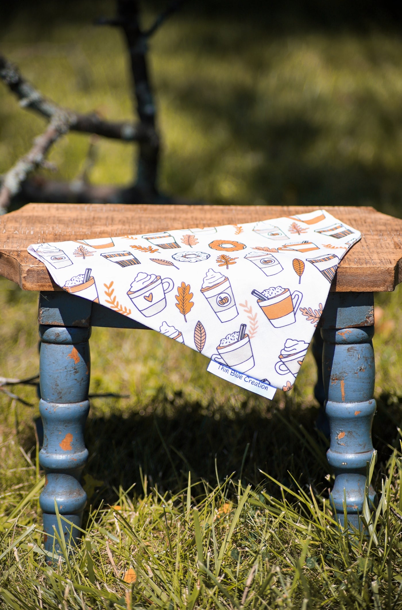 Pumpkin Spice Bandana