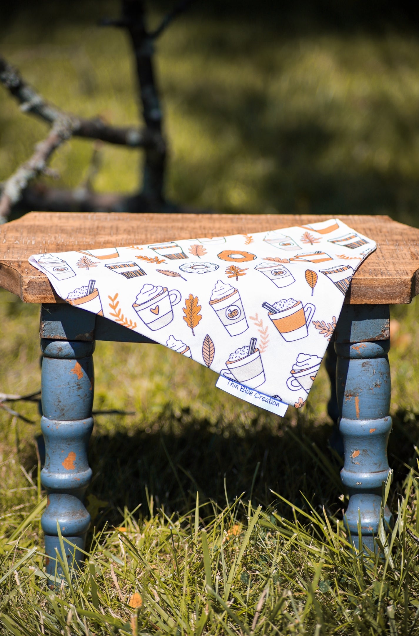 Pumpkin Spice Bandana