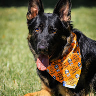 Tricks or Treats Bandana
