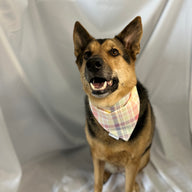 Easter Egg Bandana