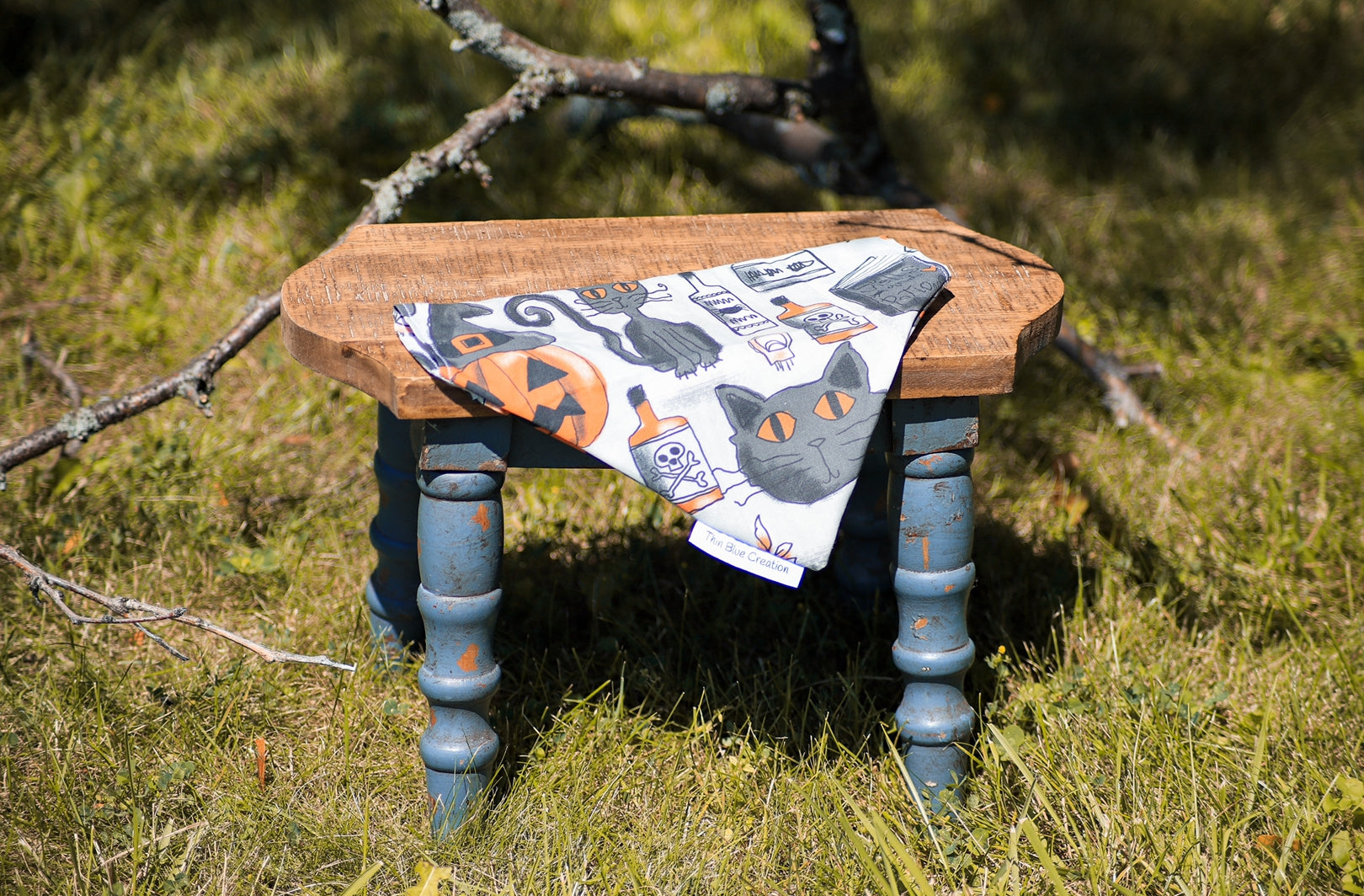 Hocus Bandana