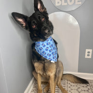 Fur Buddy Bandana