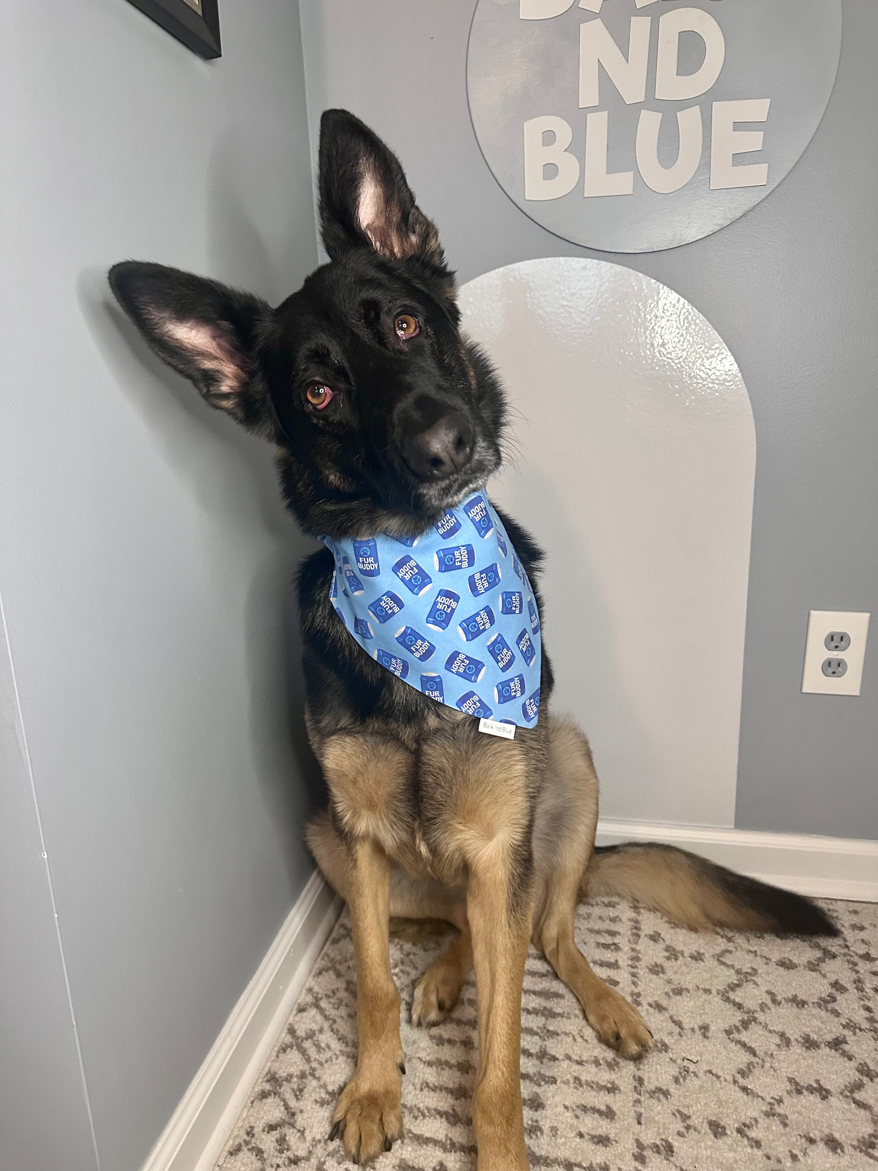 Fur Buddy Bandana