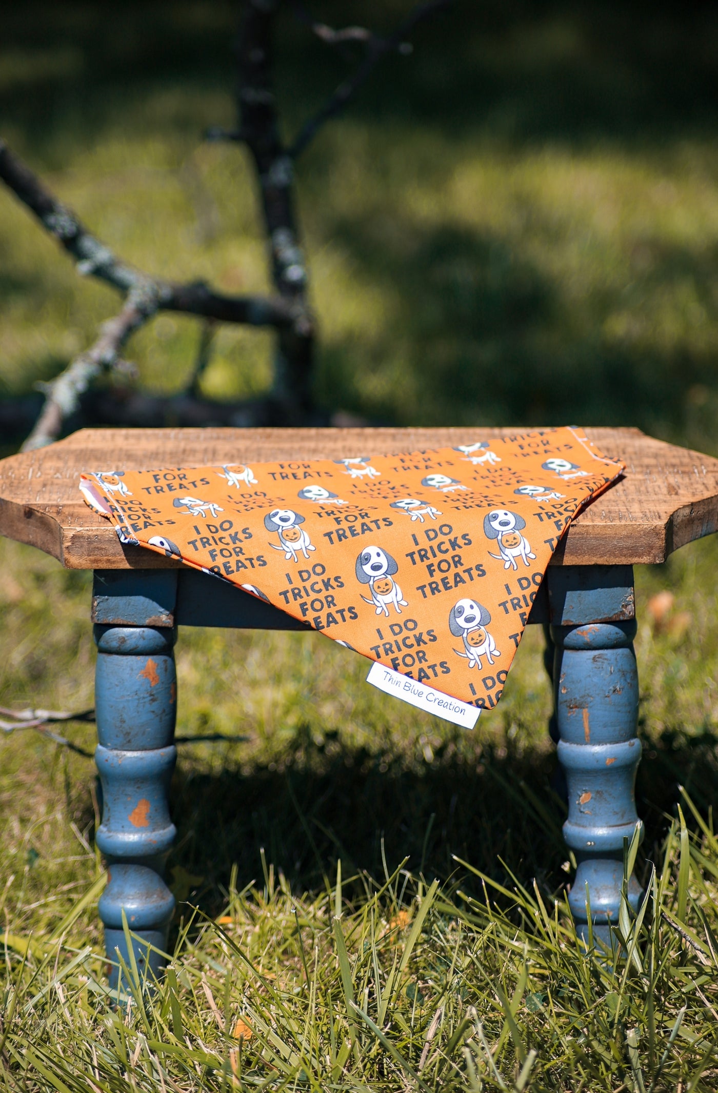 Tricks or Treats Bandana