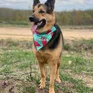 Watermelon Bandana