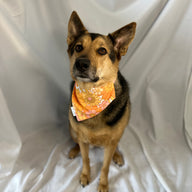 Flower Power Bandana