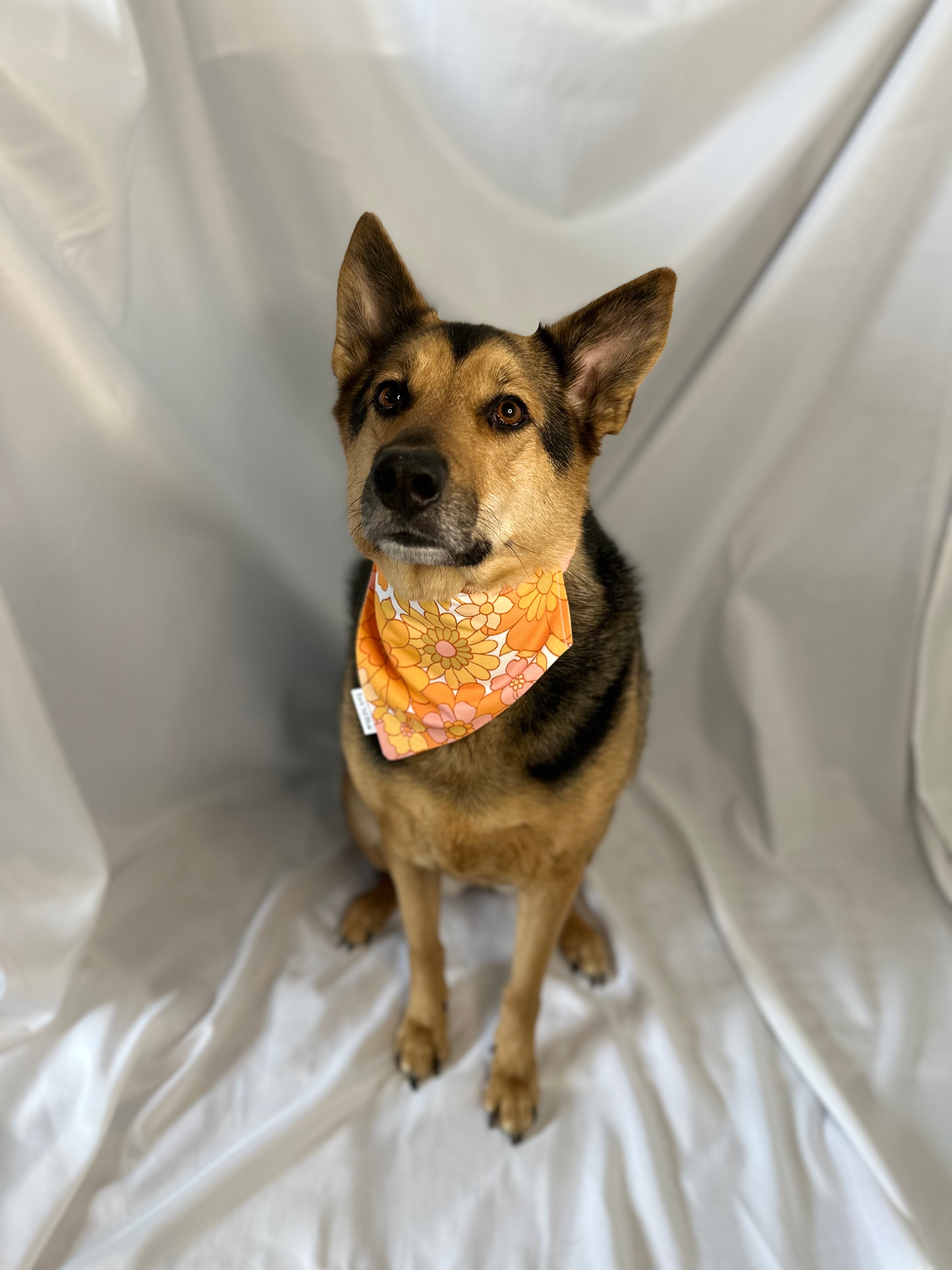 Flower Power Bandana