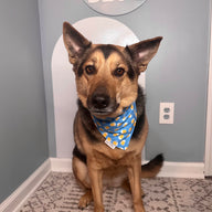 Beer Buddy Bandana