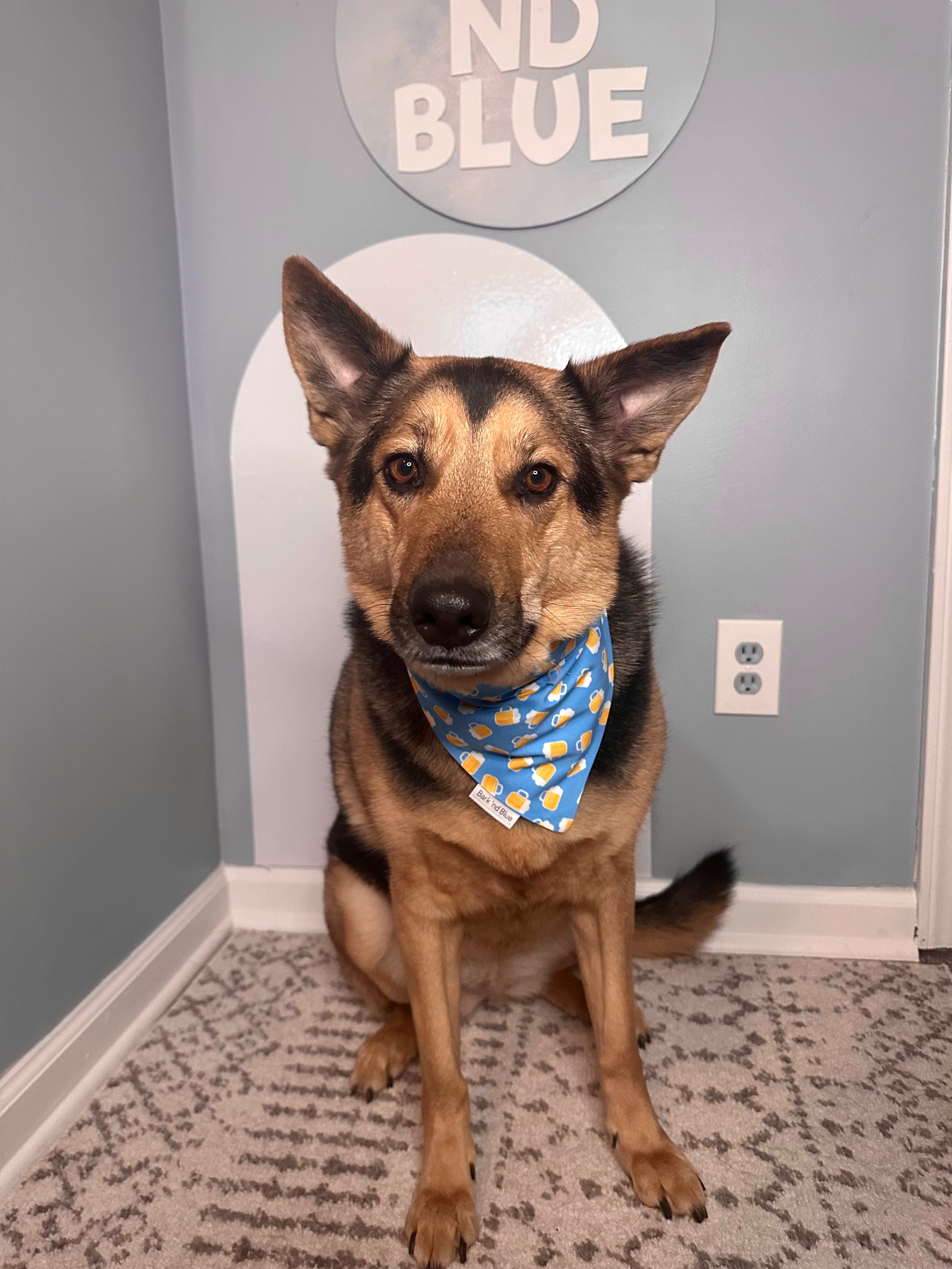 Beer Buddy Bandana