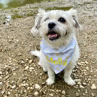 Molly Daisy Bandana