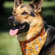 Tricks or Treats Bandana
