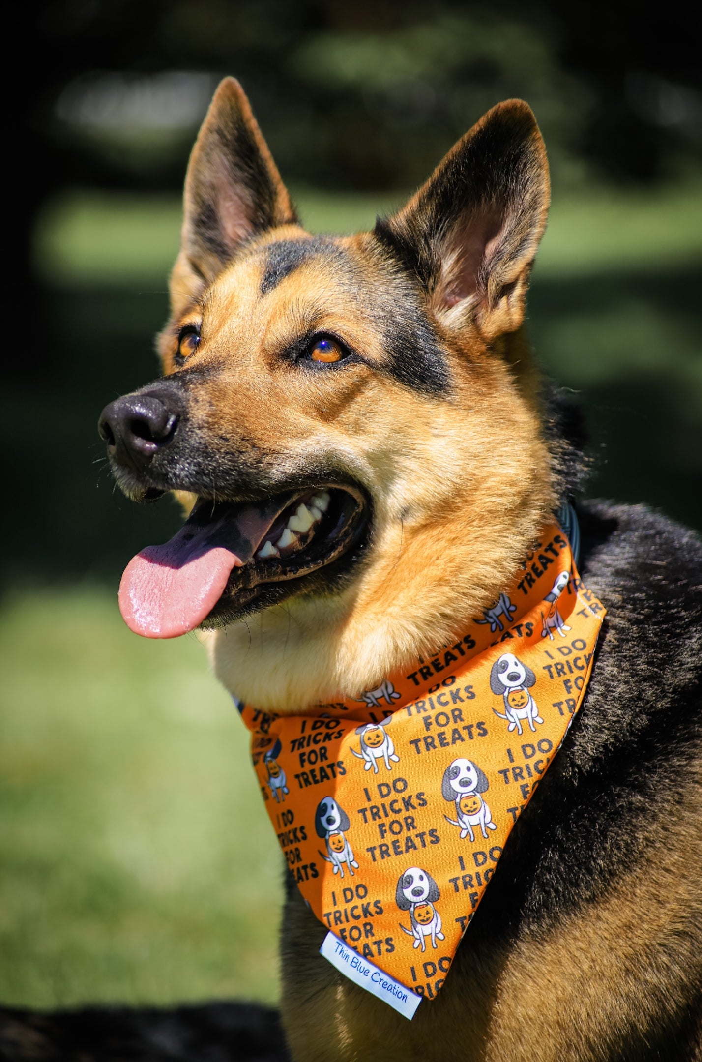 Tricks or Treats Bandana