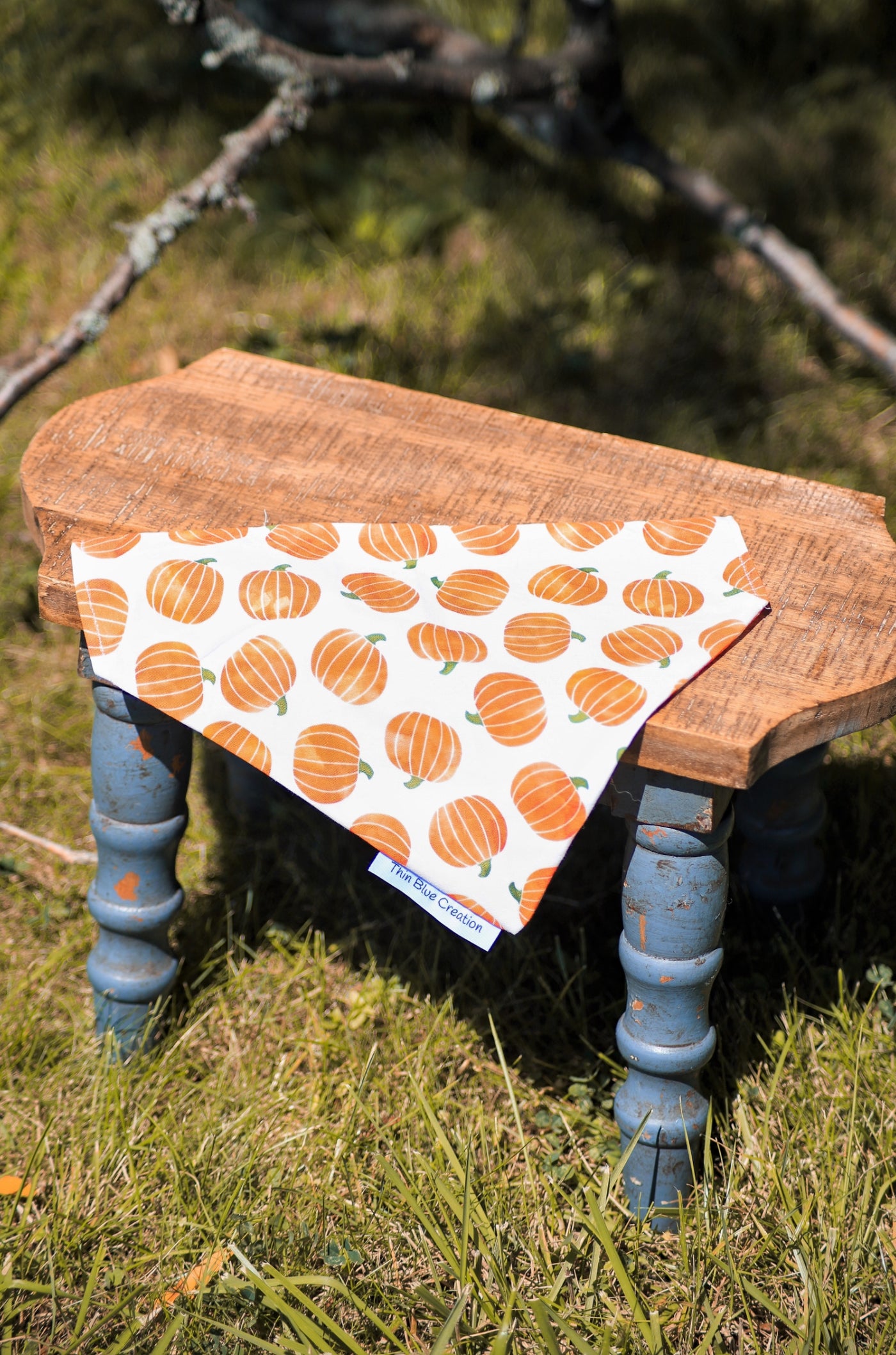 The Great Pumpkin Bandana