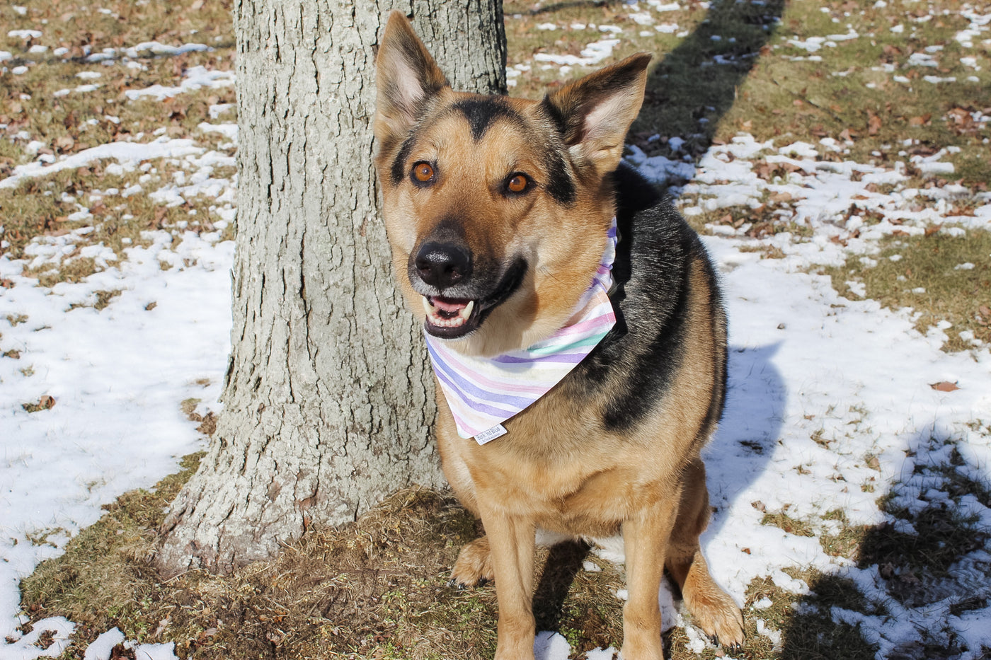 Watercolor Stripes Bandana