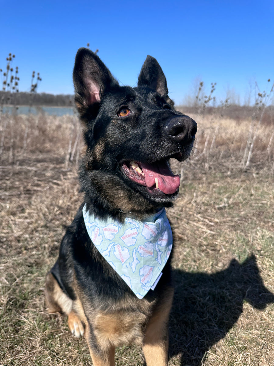 Michigan Bandana