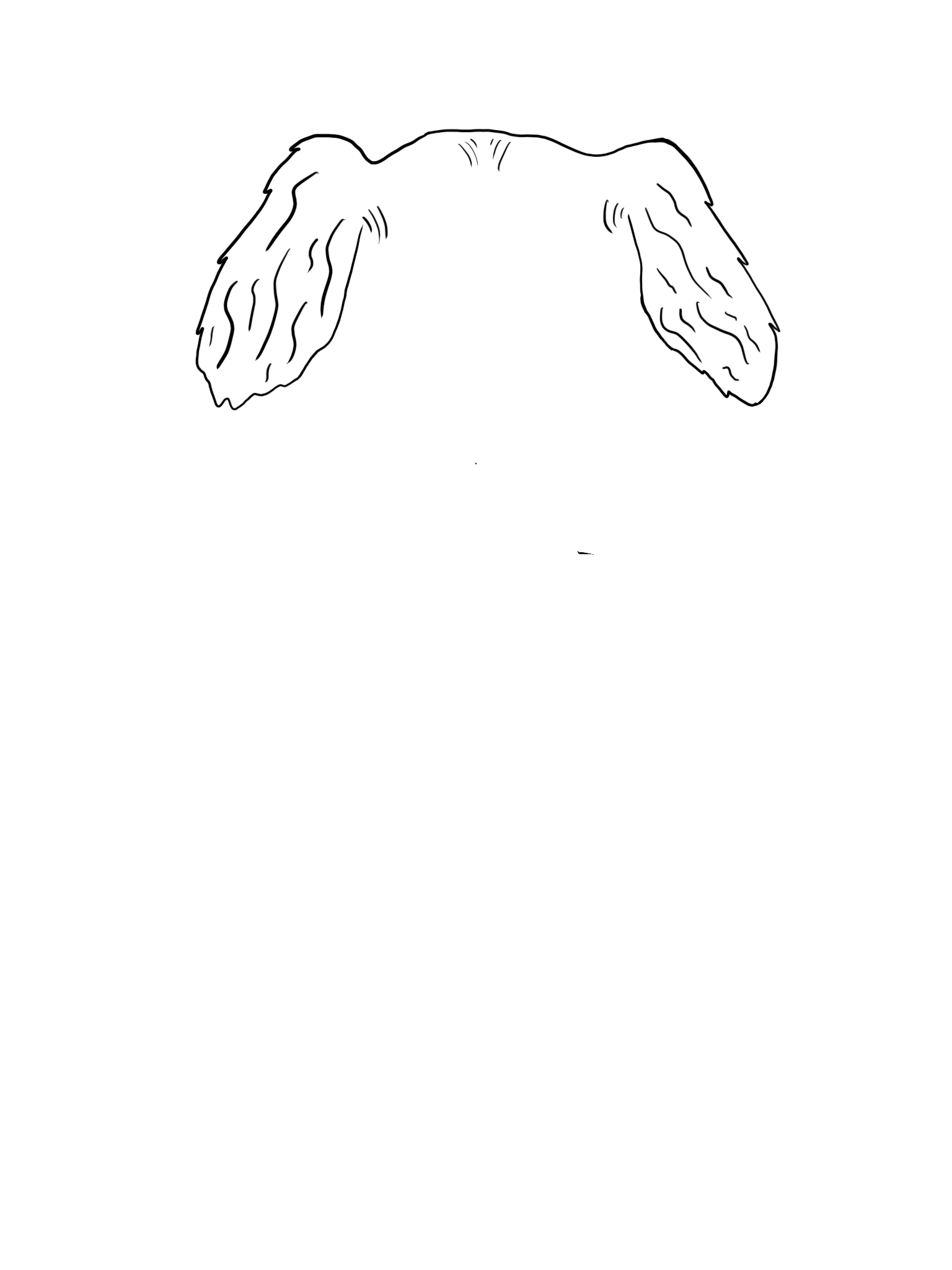 Custom Animal Ear T-Shirt